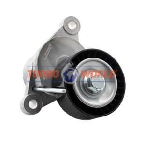 TENDICINGHIA CINGHIA SERVIZI