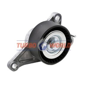 TENDICINGHIA CINGHIA SERVIZI