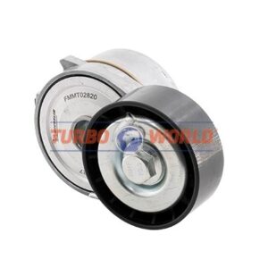 TENDICINGHIA CINGHIA SERVIZI