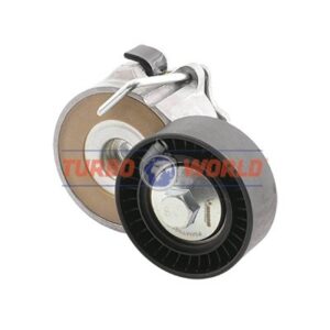 TENDICINGHIA CINGHIA SERVIZI