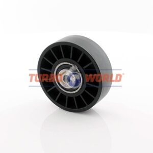 RULLO TENDITORE CINGHIA SERVIZI