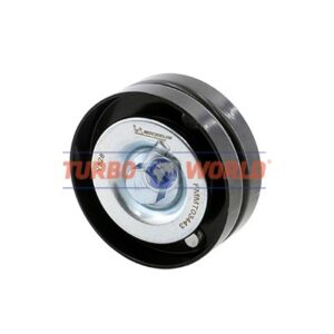 GALOPPINO/GUIDA CINGHIA SERVIZI