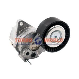 TENDICINGHIA CINGHIA SERVIZI