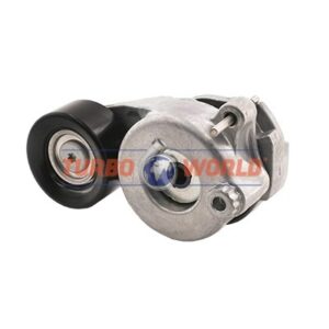 TENDICINGHIA CINGHIA SERVIZI