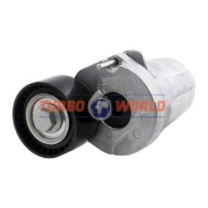 TENDICINGHIA CINGHIA SERVIZI