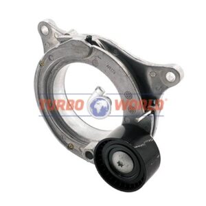 TENDICINGHIA CINGHIA SERVIZI