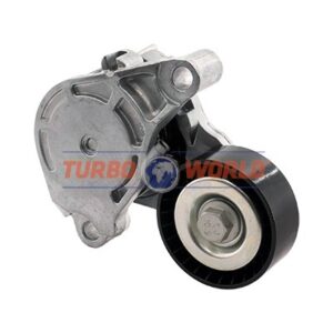 TENDICINGHIA CINGHIA SERVIZI