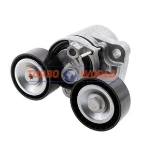 TENDICINGHIA CINGHIA SERVIZI