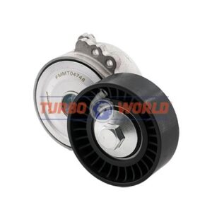 TENDICINGHIA CINGHIA SERVIZI