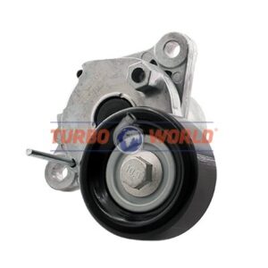 TENDICINGHIA CINGHIA SERVIZI