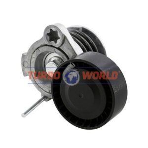 TENDICINGHIA CINGHIA SERVIZI