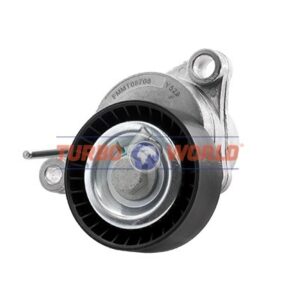 TENDICINGHIA CINGHIA SERVIZI