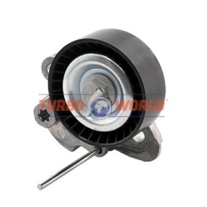 TENDICINGHIA CINGHIA SERVIZI