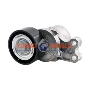 TENDICINGHIA CINGHIA SERVIZI