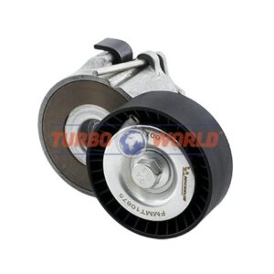 TENDICINGHIA CINGHIA SERVIZI