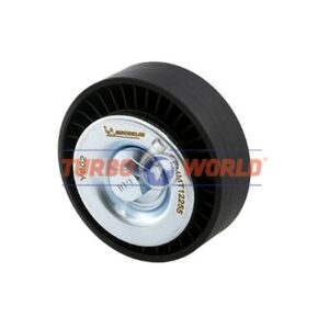 RULLO TENDITORE CINGHIA SERVIZI